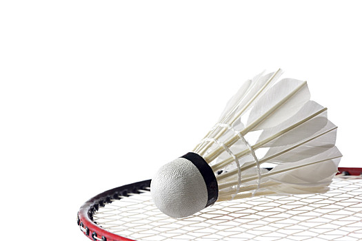 联赛揭幕战 联赛揭幕战