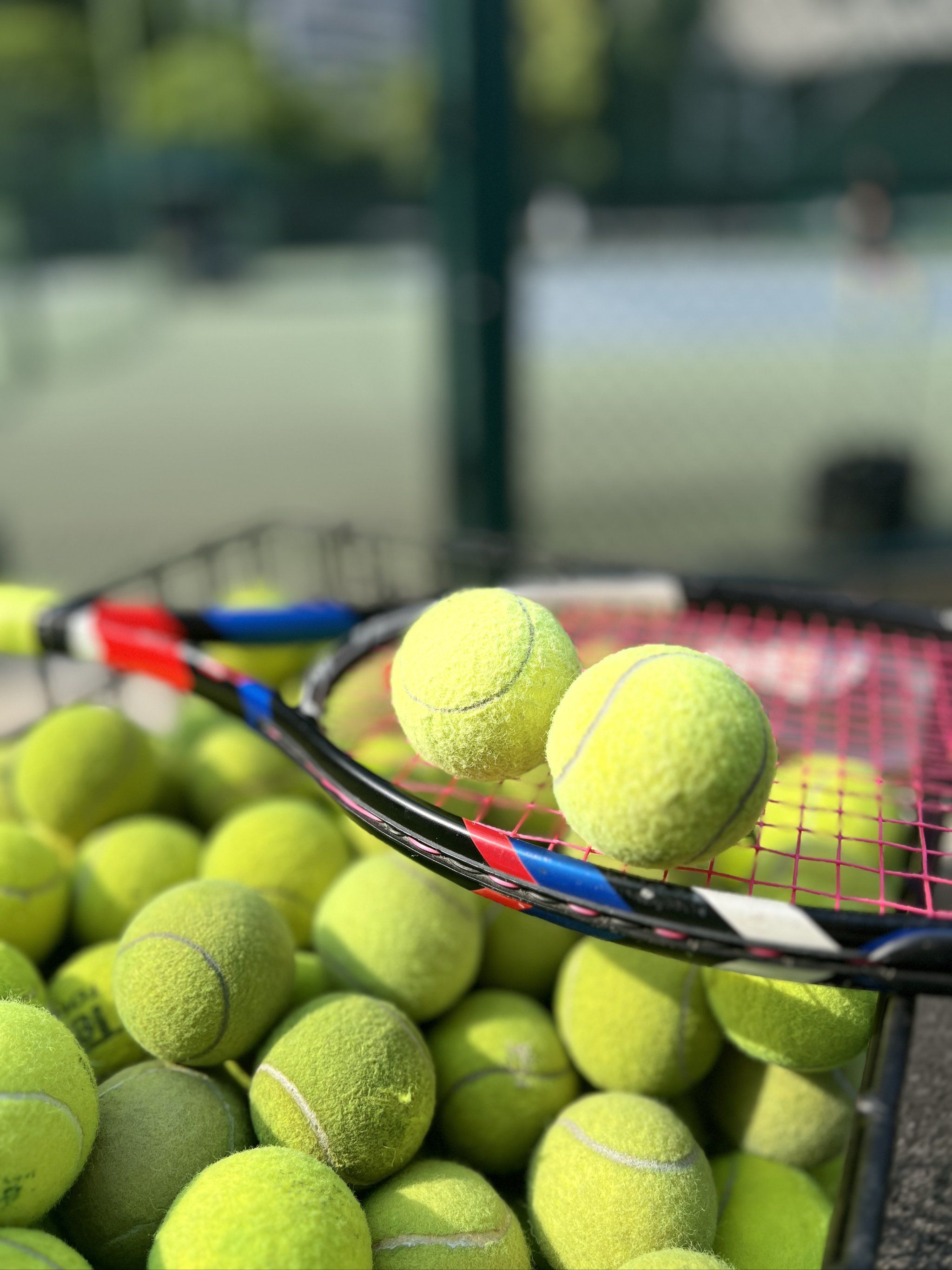 山东省计划 山东省计划