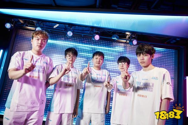 投传一体的 投传一体的